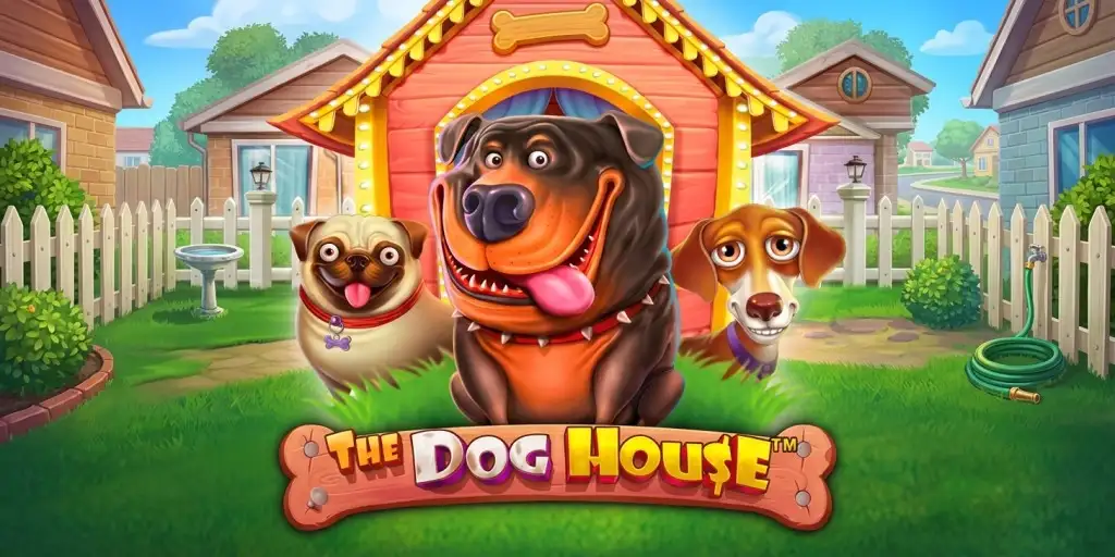 The dog house