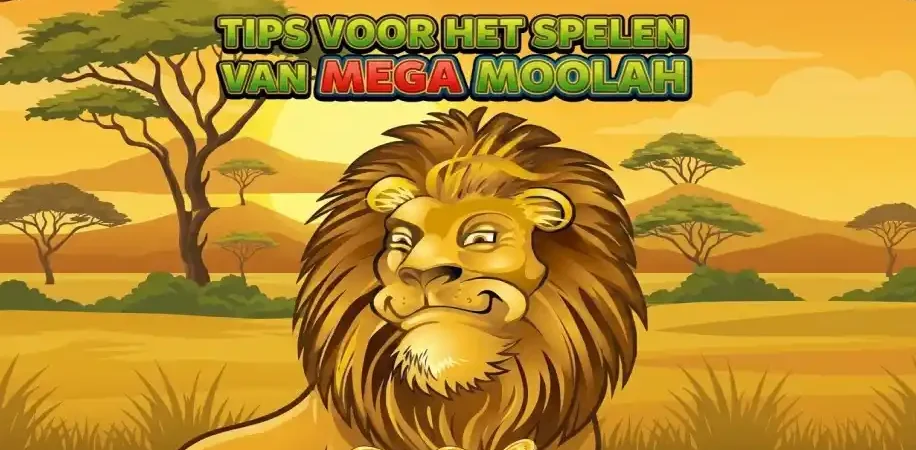 Tips Voor Het Spelen Van Mega Moolah